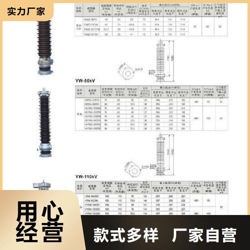 避雷器Y10W-200/520浙江羿振电气有限公司