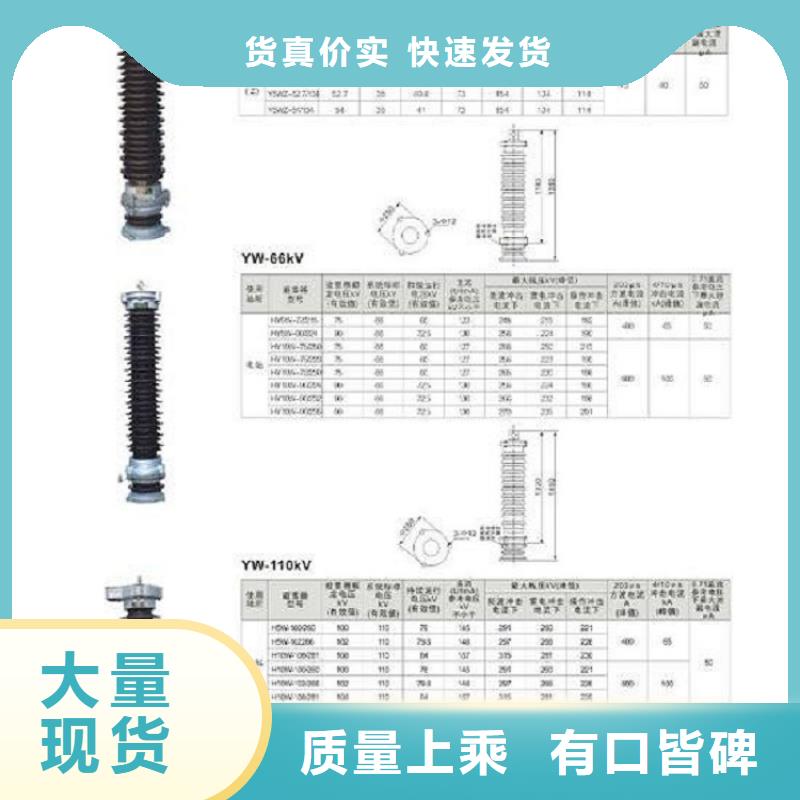 【羿振电气】避雷器HY10WX-114/300