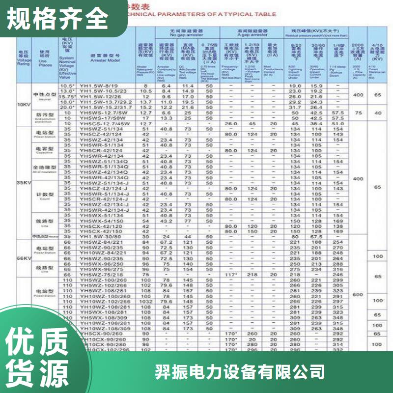 _可卸式避雷器HY5WS-17/50TB-DL【羿振电力设备】