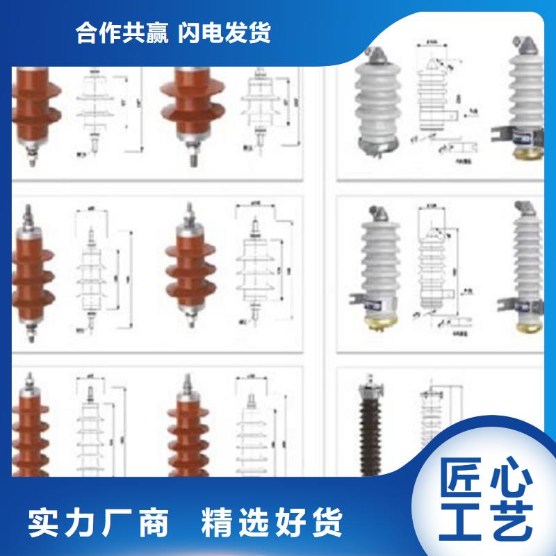 避雷器YH10W5-192/500GY