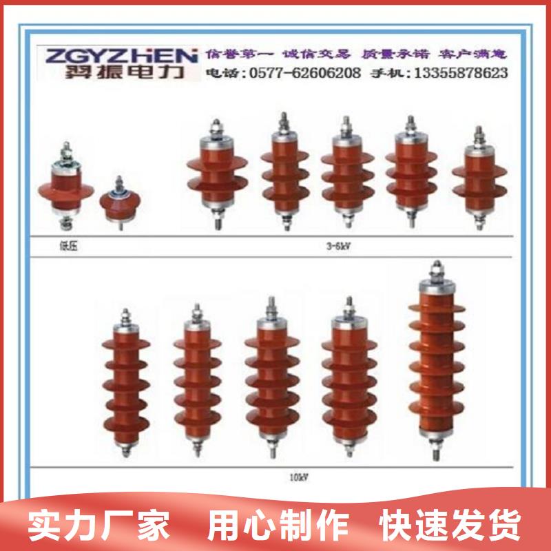 避雷器Y10W-200/496