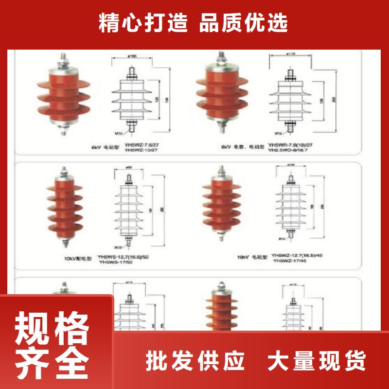 避雷器Y5W1-100/260W【羿振电力设备】