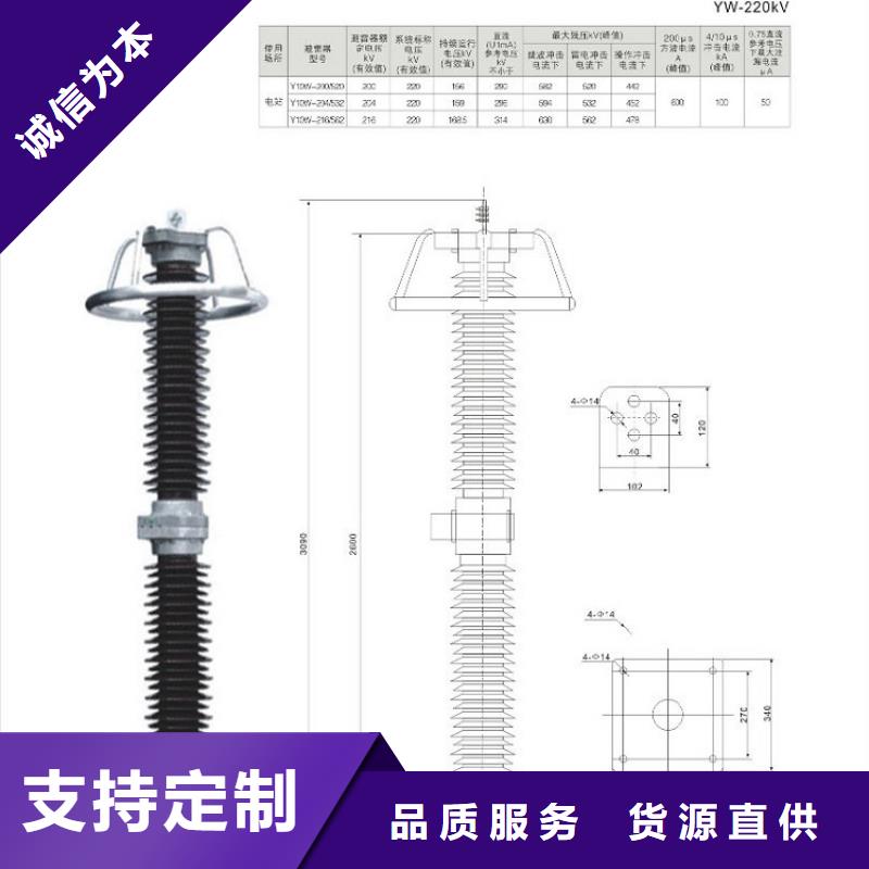 避雷器Y5W1-100/260W【羿振电力设备】