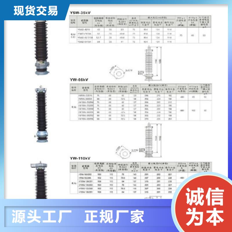 避雷器Y10W-102/266浙江羿振电气有限公司