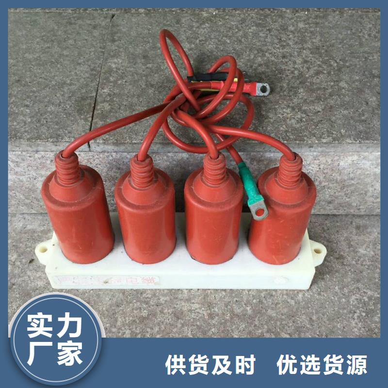 【屯昌县】保护器(组合式避雷器)BSTG-A-280W2