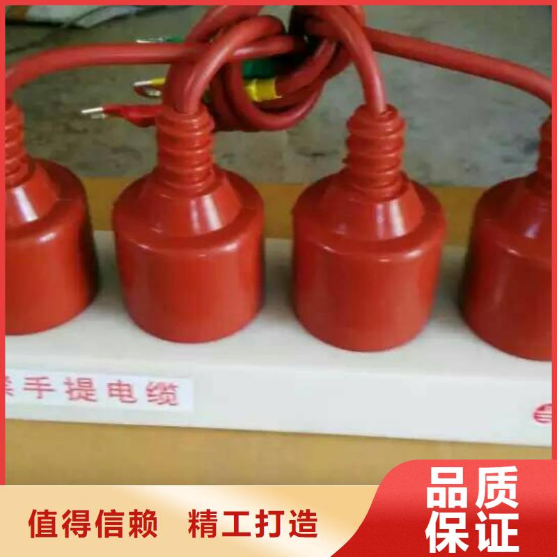 保护器(组合式避雷器)TBP-Y-A/35-F组合过电压保护器