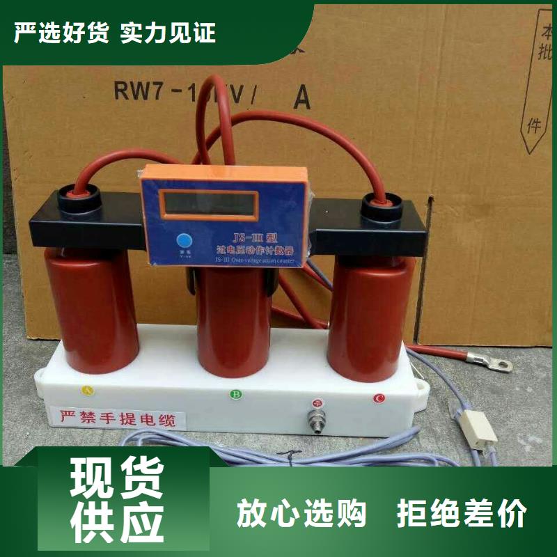 保护器(组合式避雷器)RSB-C/F-10.5