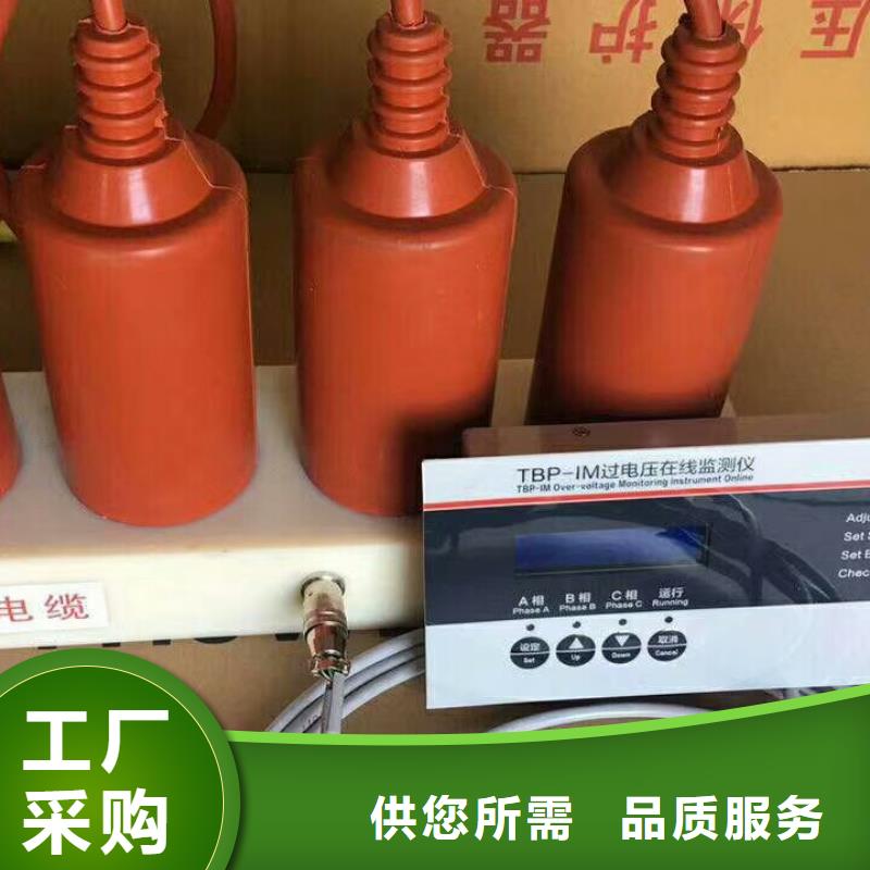 过电压保护器(组合式避雷器)TBP-A-6.3/131-J