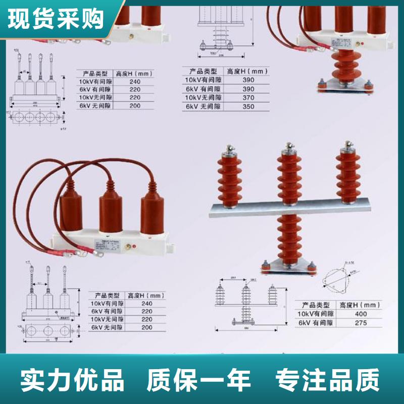 〖过电压保护器〗TBP-B-42F/310厂家报价