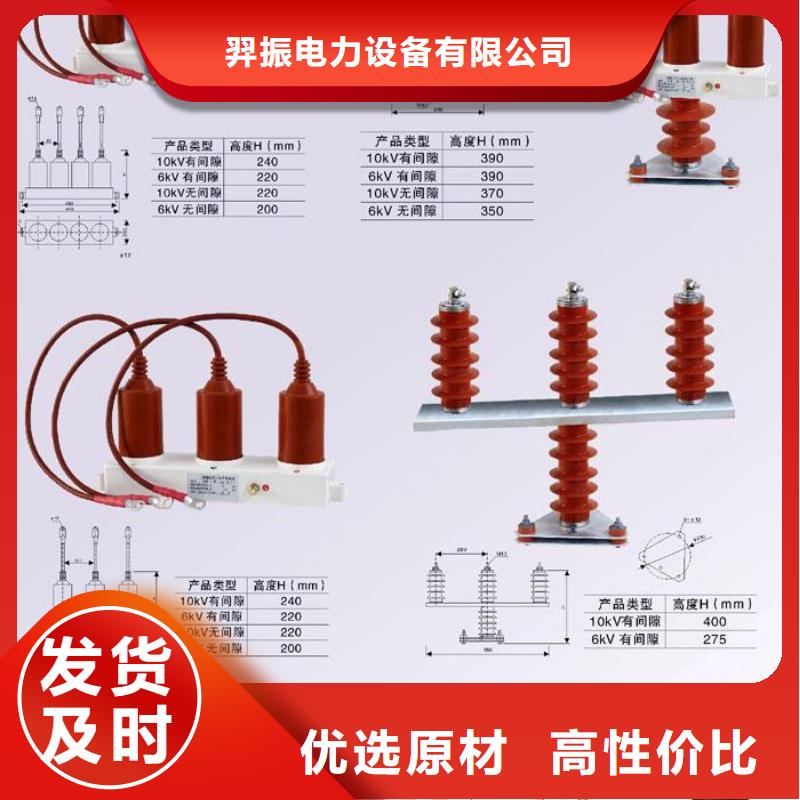 保护器(组合式避雷器)TBP-Y-A/35-F组合过电压保护器