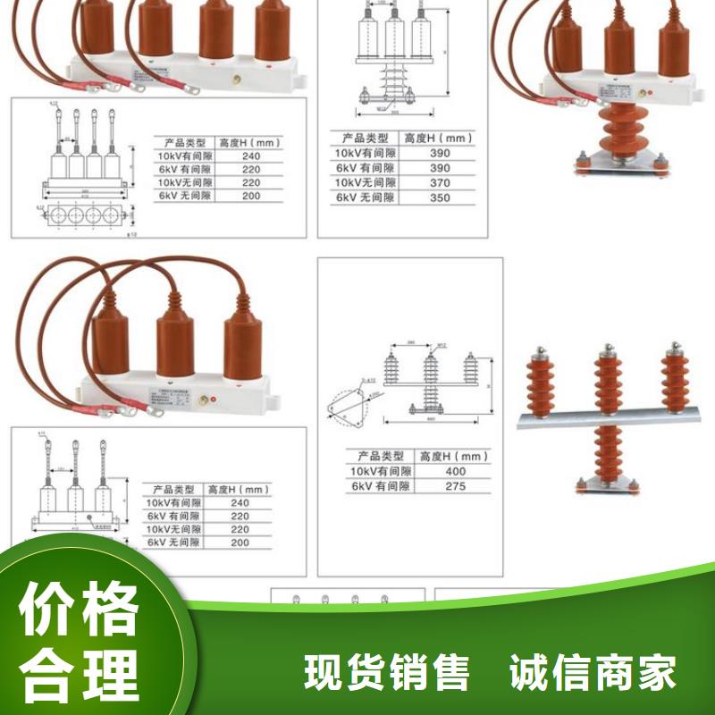 过电压保护器(组合式避雷器)TBP-B-7.6/85-J