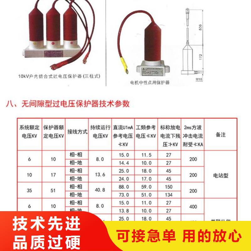 保护器(组合式避雷器)RSB-C/F-10.5