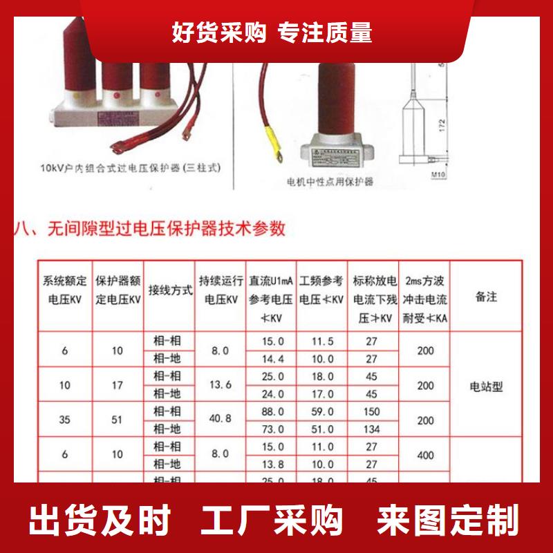 保护器(组合式避雷器)TBP-Y-A/35-F组合过电压保护器