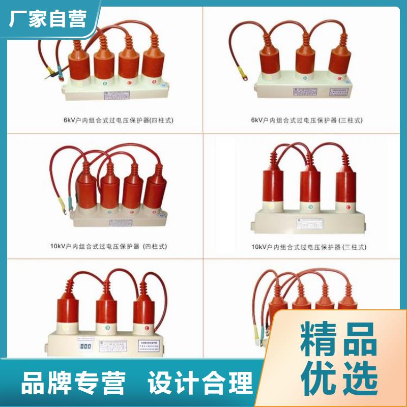 〖过电压保护器〗TBP-A-6.3F/85免费咨询