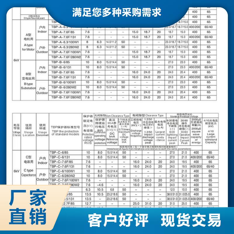 【羿振电气】过电压保护器TBP-A-42F/200