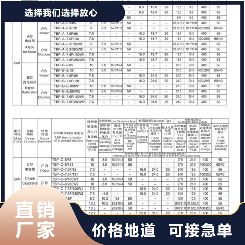 过电压保护器(组合式避雷器)TBP-B-12.7/131-J