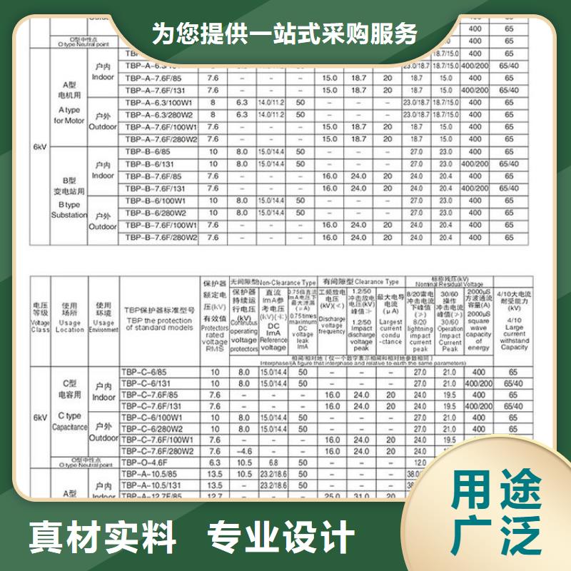 过电压保护器(组合式避雷器)TBP-B-7.6/85-J