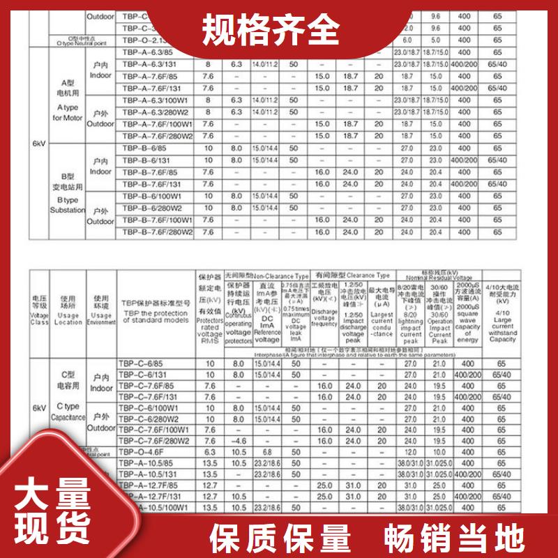 保护器(组合式避雷器)TBP-B-35/630W2