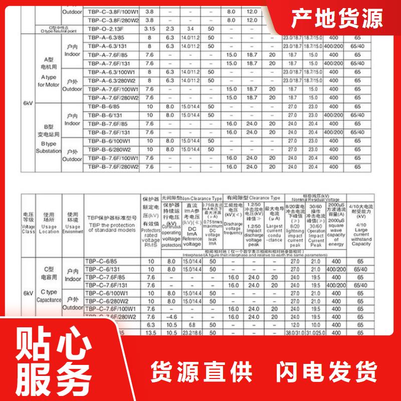 保护器(组合式避雷器)RY-GDY1-B/6组合过电压保护器