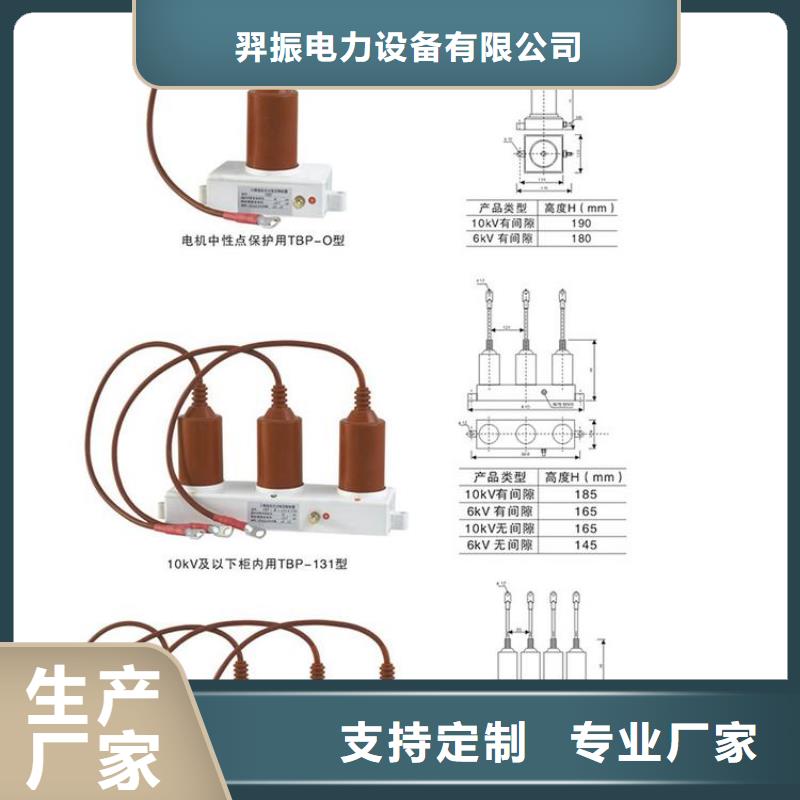 过电压保护器(组合式避雷器)TBP-C-6.3/85