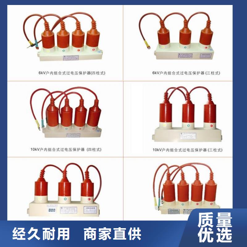 保护器(组合式避雷器)BSTG-B-7.6