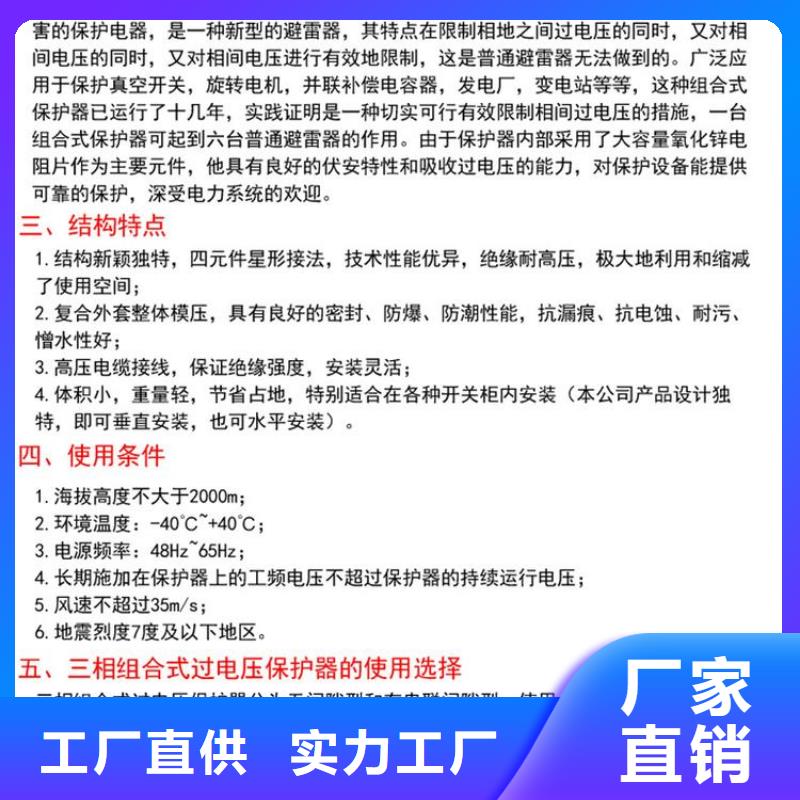 过电压保护器(组合式避雷器)YH5WS-5/15*5/15