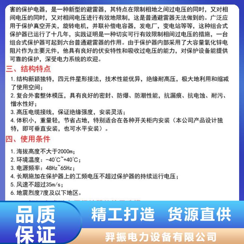 过电压保护器(组合式避雷器)YH5CZ-12.7/38*2