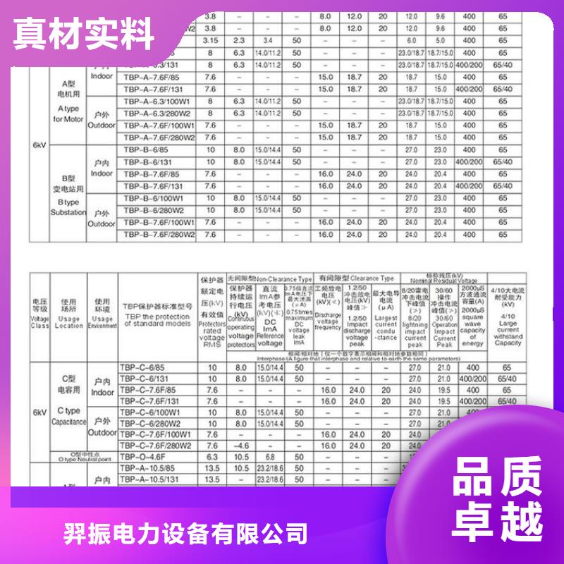 过电压保护器(组合式避雷器)TBP-B-35/630W2