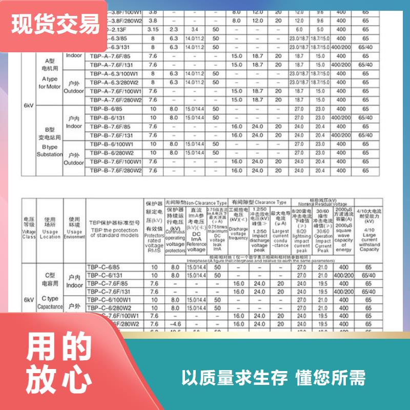 过电压保护器(组合式避雷器)YH5CZ-12.7/38*2