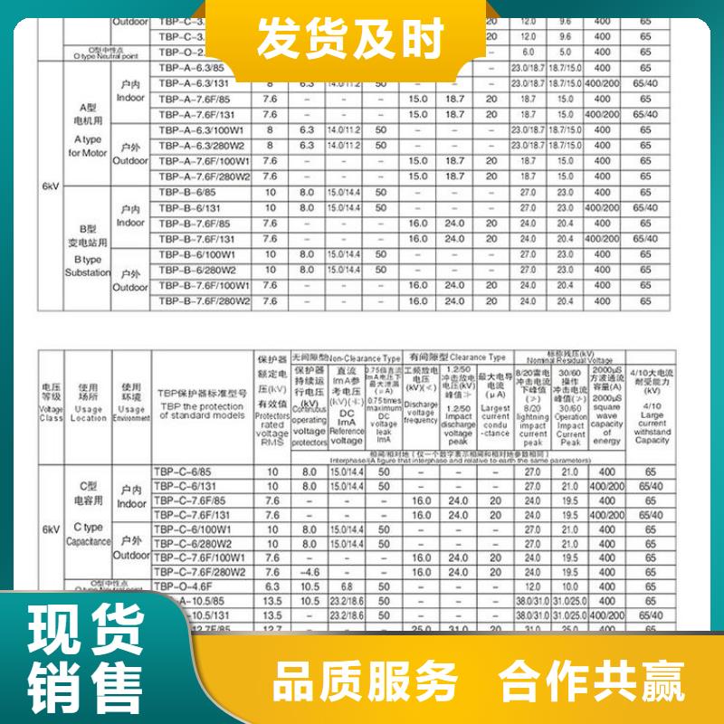 过电压保护器TBP-C-7.6/100W1