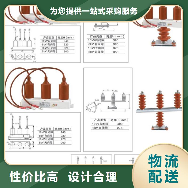 过电压保护器(组合式避雷器)TBP-B-35/630W2