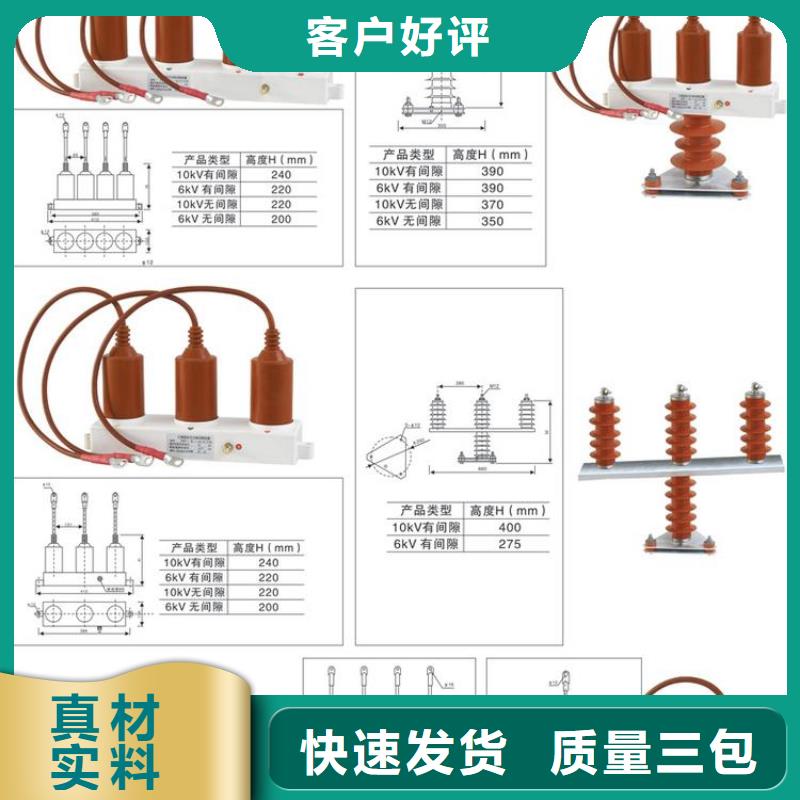 过电压保护器TBP-C-6/131