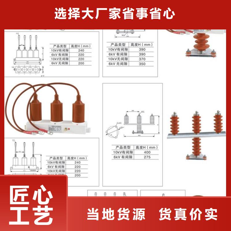 〖过电压保护器〗RY-GDY2-B/3组合过电压保护器放心购买