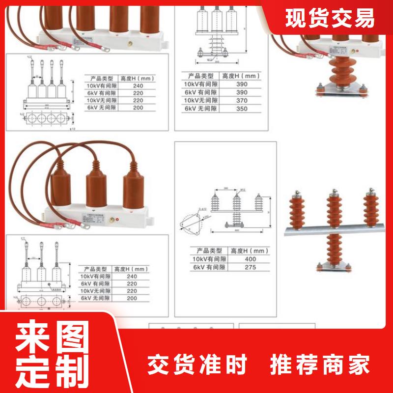 过电压保护器(组合式避雷器)YH5CZ-12.7/38*2