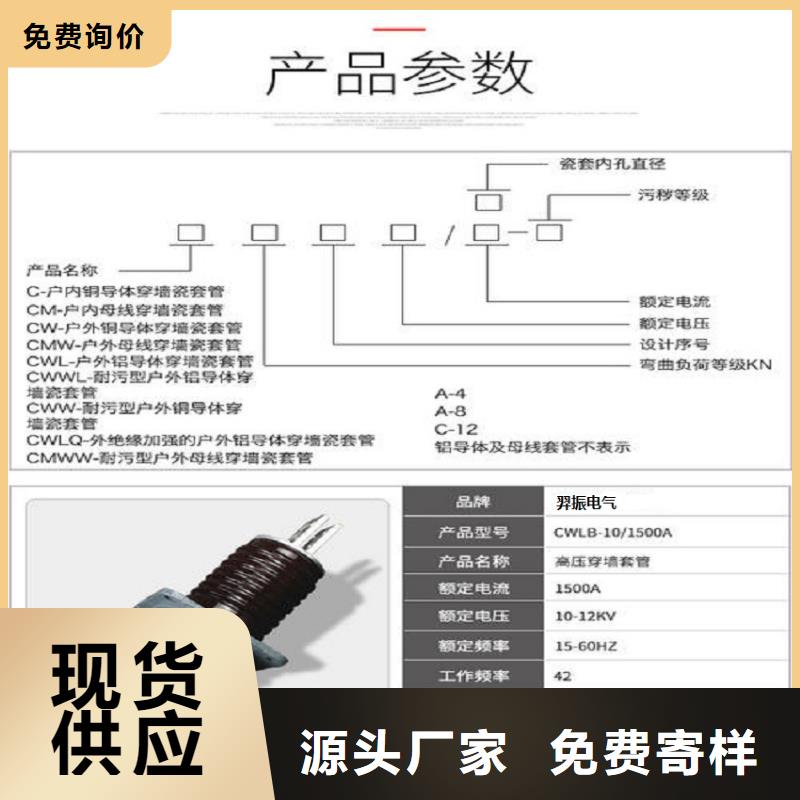 穿墙套管CWWL-40.5KV/1250