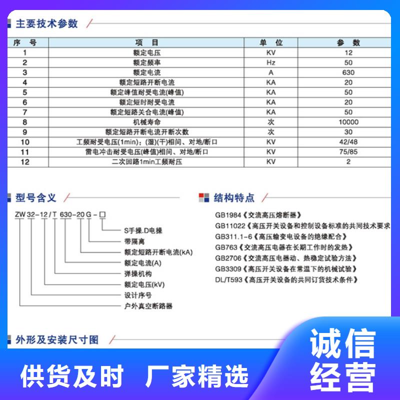 永磁真空断路器ZW32-12G/M