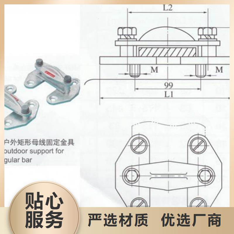 母线固定金具MNP-205.