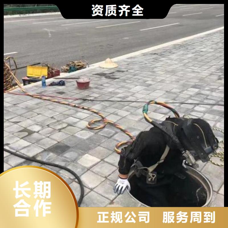 本地闸门水下作业检查供应商