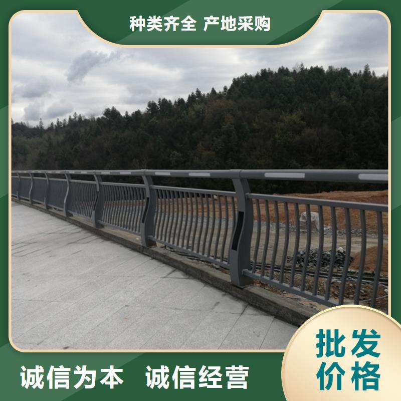 公路灯光护栏队伍