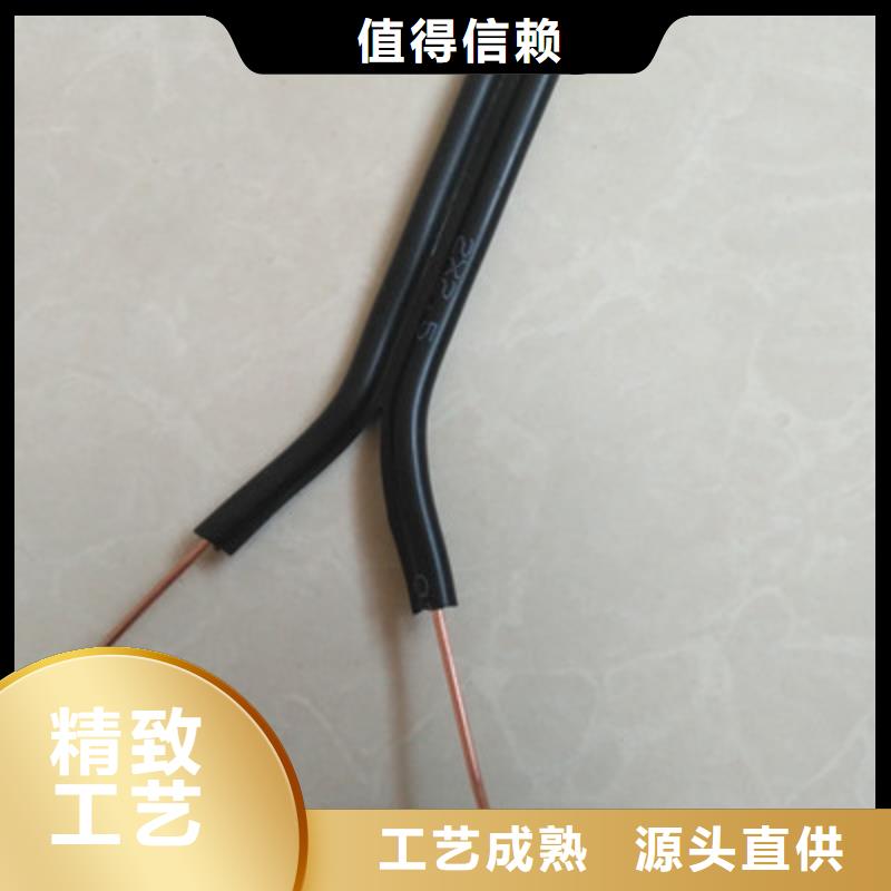 生产RS485STP-120的厂家