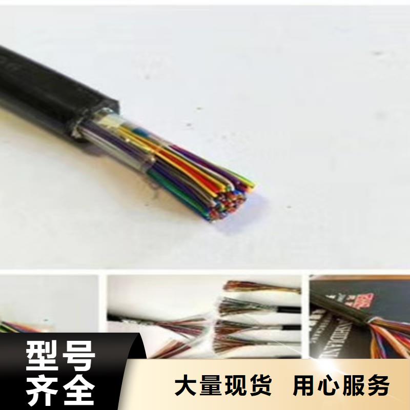 MODBUS通讯电缆1X2.5