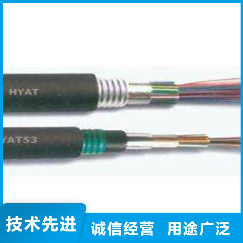 HAPVPSX双绞通讯电缆6X2X0.5