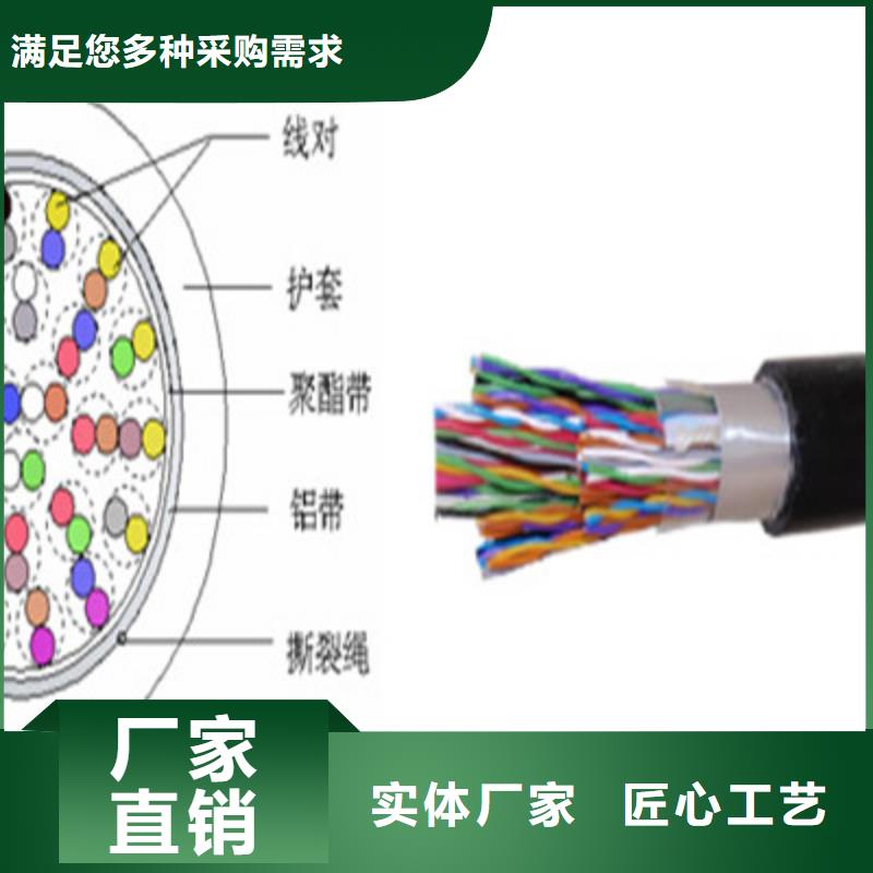 CAN-DW-RS485/92特种电缆发货及时