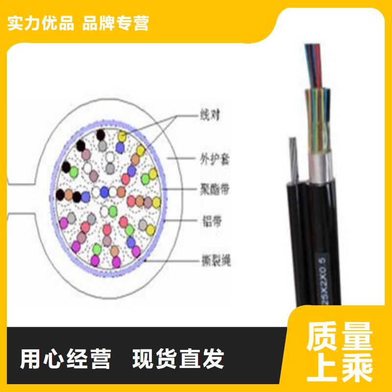 HAPVPSX双绞通讯电缆12X0.3