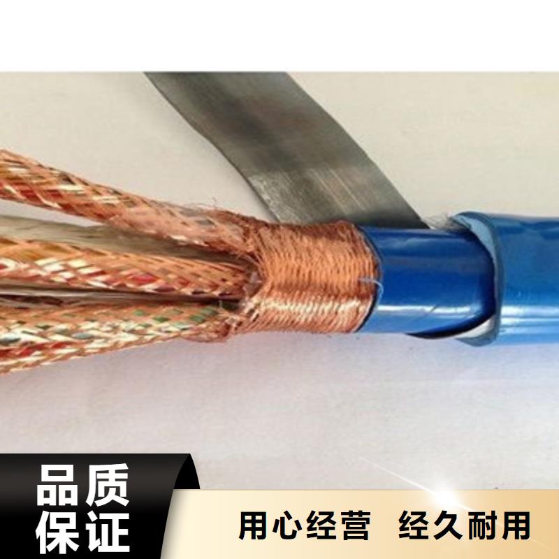 ZRA-DJYJP3VP3-92计算机屏蔽电缆2X2X1.5