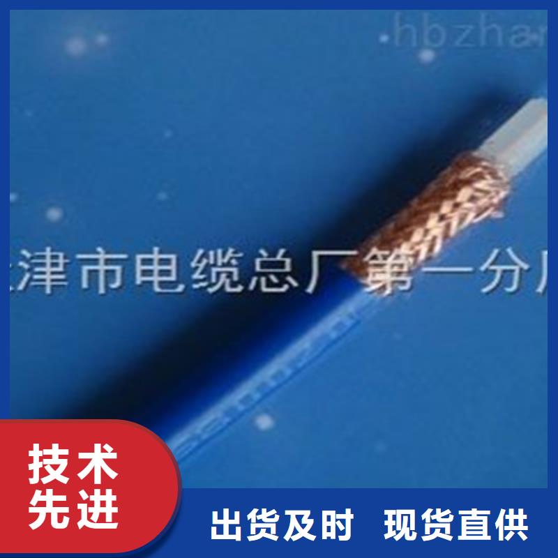 SYVPVP射频同轴电线价格行情