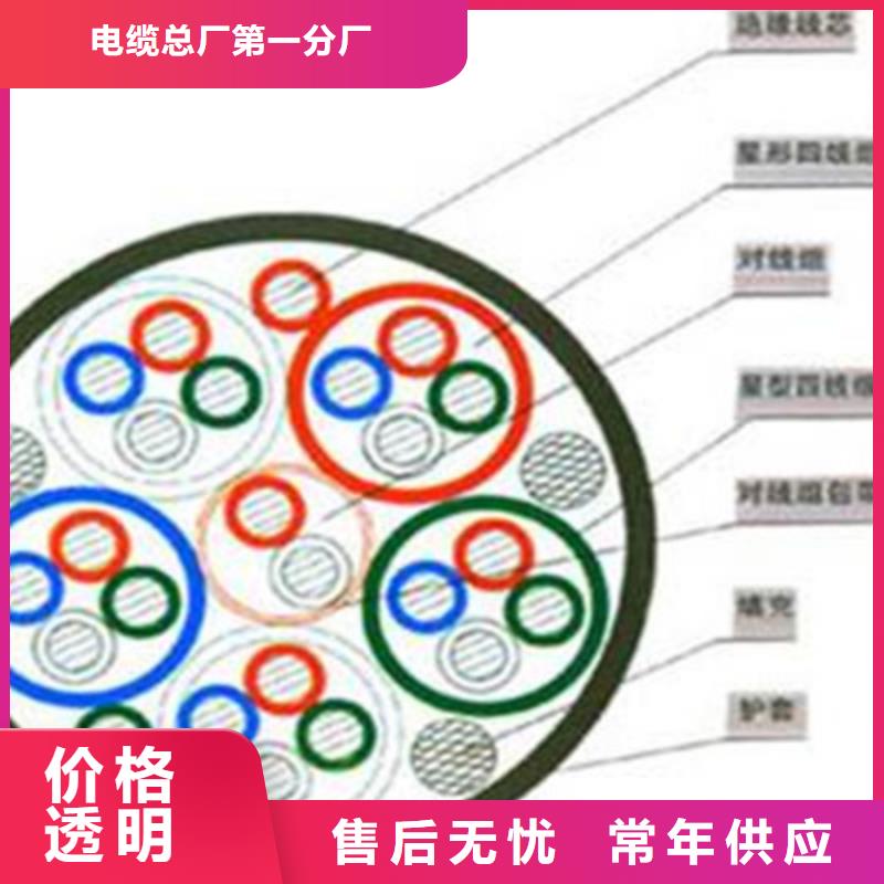 铁路信号电缆-屏蔽电缆高标准高品质