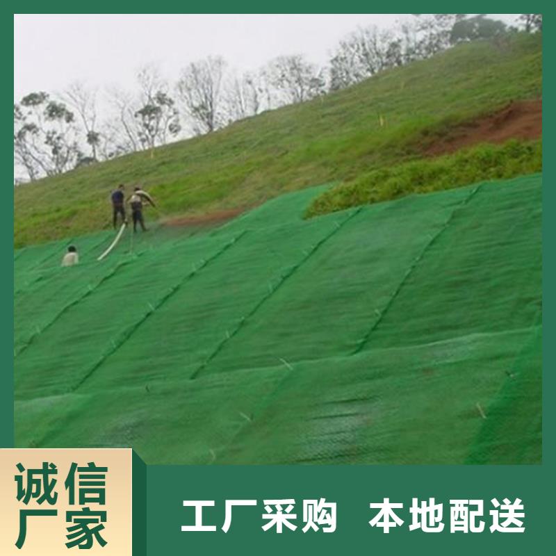 【三维植被网,防水膜发货及时】