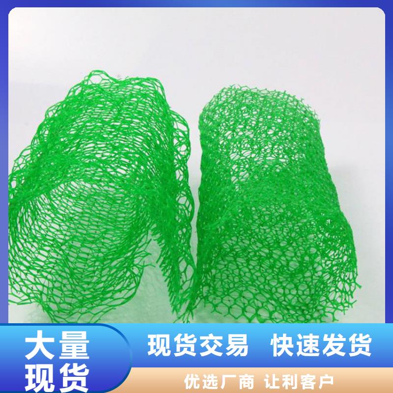 三维植被网【【保湿布】】现货充足量大优惠