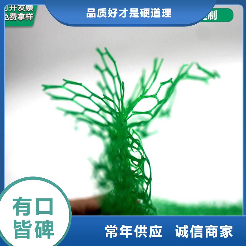 三维植被网排水板用心制作